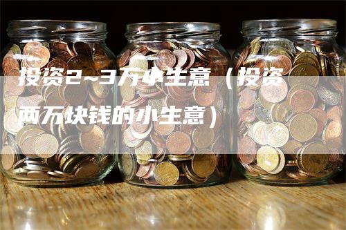 投资2~3万小生意（投资两万块钱的小生意）