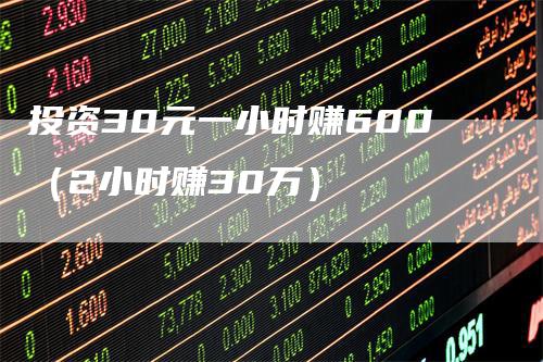 投资30元一小时赚600（2小时赚30万）