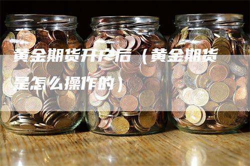 黄金期货开户后（黄金期货是怎么操作的）