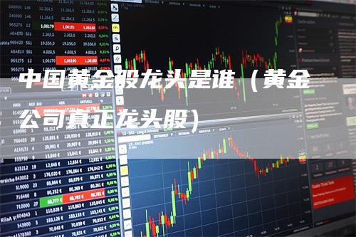 中国黄金股龙头是谁（黄金公司真正龙头股）