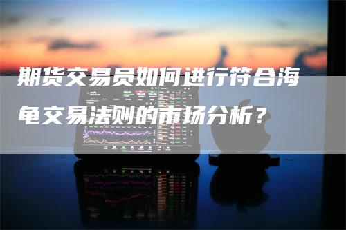 期货交易员如何进行符合海龟交易法则的市场分析？