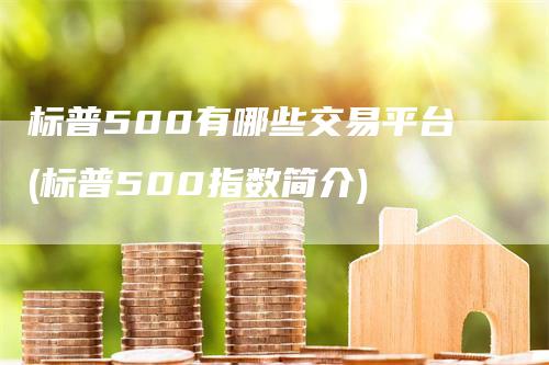 标普500有哪些交易平台(标普500指数简介)