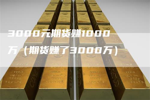 3000元期货赚1000万（期货赚了3000万）