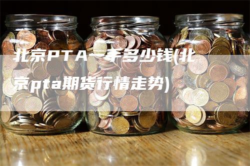 北京PTA一手多少钱(北京pta期货行情走势)