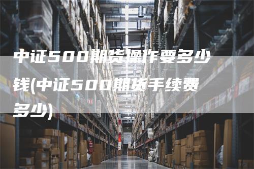 中证500期货操作要多少钱(中证500期货手续费多少)