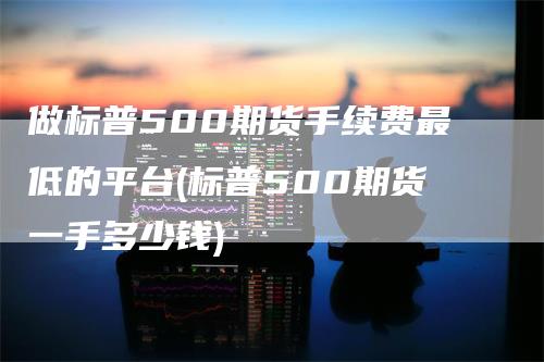 做标普500期货手续费最低的平台(标普500期货一手多少钱)