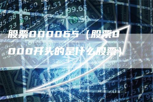 股票000065（股票0000开头的是什么股票）