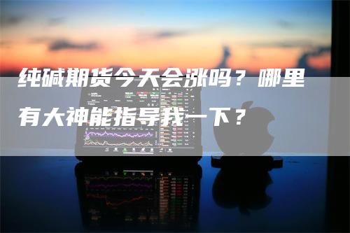 纯碱期货今天会涨吗？哪里有大神能指导我一下？