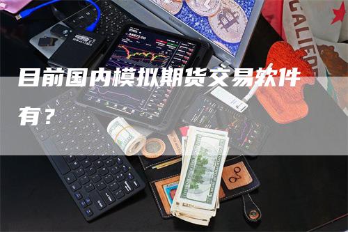 目前国内模拟期货交易软件有？