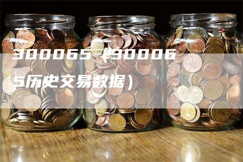 300065（300065历史交易数据）