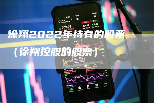 徐翔2022年持有的股票（徐翔控股的股票）