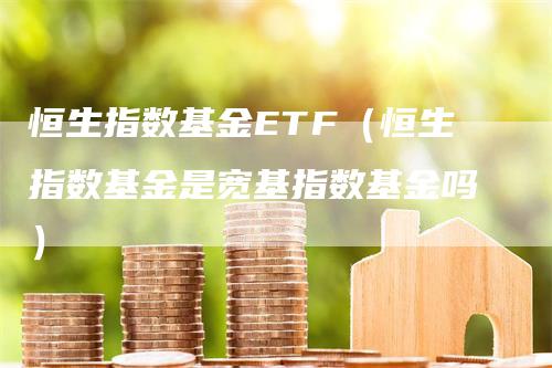 恒生指数基金ETF（恒生指数基金是宽基指数基金吗）