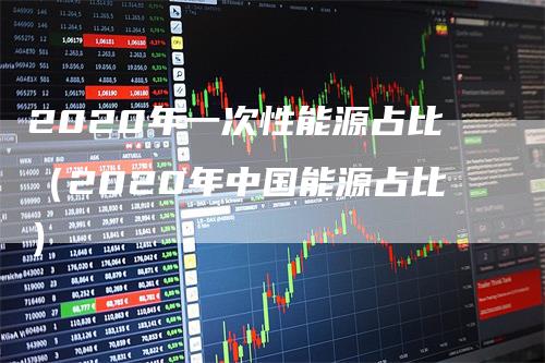 2020年一次性能源占比（2020年中国能源占比）