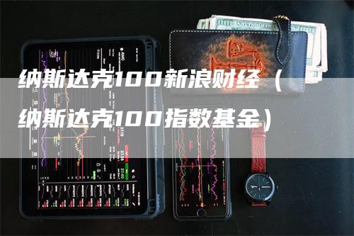 纳斯达克100新浪财经（纳斯达克100指数基金）