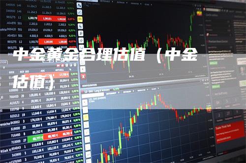 中金黄金合理估值（中金 估值）