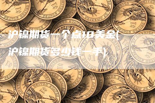 沪镍期货一个点10美金(沪镍期货多少钱一手)