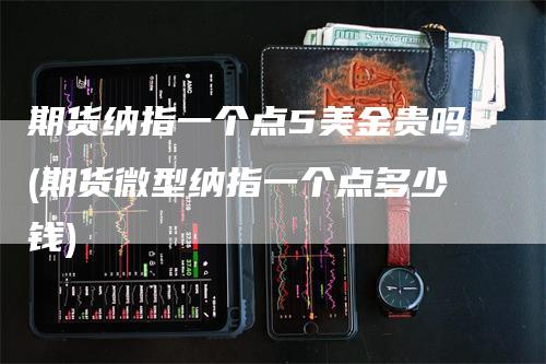 期货纳指一个点5美金贵吗(期货微型纳指一个点多少钱)