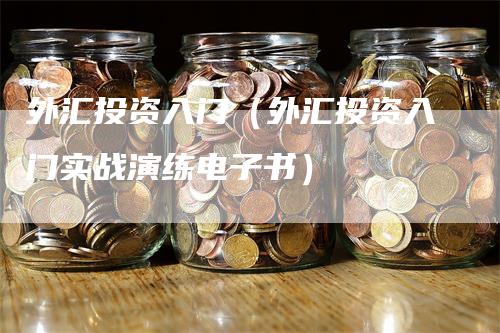 外汇投资入门（外汇投资入门实战演练电子书）