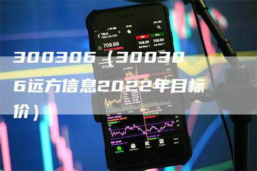 300306（300306远方信息2022年目标价）