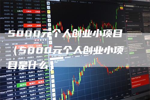 5000元个人创业小项目（5000元个人创业小项目是什么）