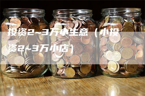 投资2~3万小生意（小投资2~3万小店）