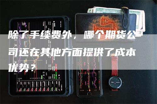 除了手续费外，哪个期货公司还在其他方面提供了成本优势？