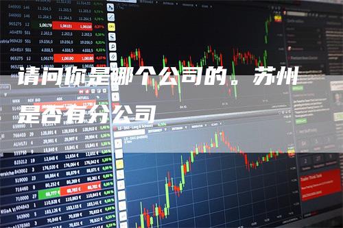 请问你是哪个公司的。苏州是否有分公司