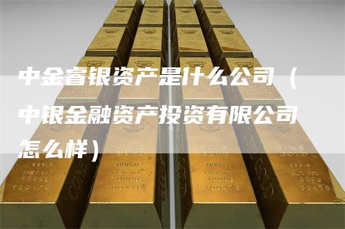 中金睿银资产是什么公司（中银金融资产投资有限公司怎么样）