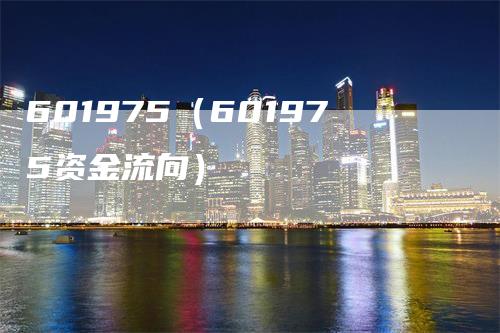 601975（601975资金流向）