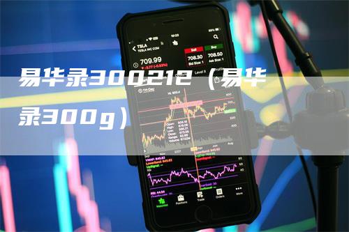 易华录300212（易华录300g）