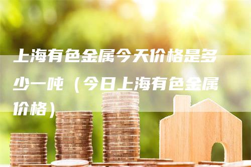 上海有色金属今天价格是多少一吨（今日上海有色金属价格）