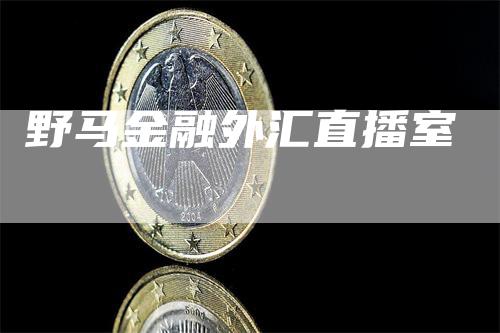 野马金融外汇直播室