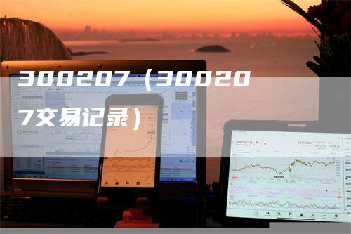 300207（300207交易记录）