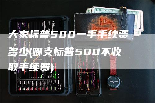 大家标普500一手手续费多少(哪支标普500不收取手续费)