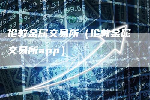 伦敦金属交易所（伦敦金属交易所app）