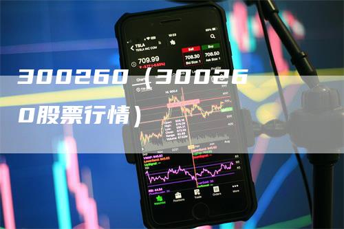 300260（300260股票行情）