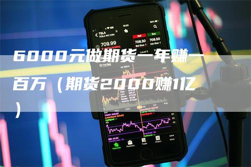 6000元做期货一年赚一百万（期货2000赚1亿）