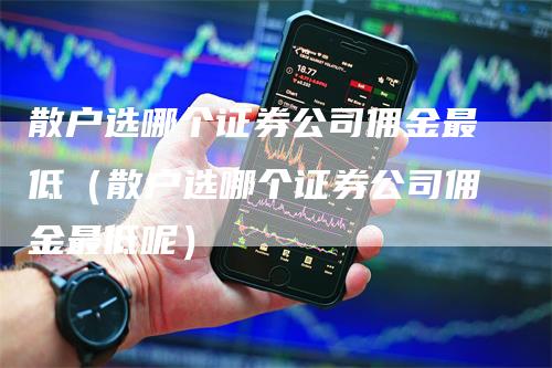 散户选哪个证券公司佣金最低（散户选哪个证券公司佣金最低呢）