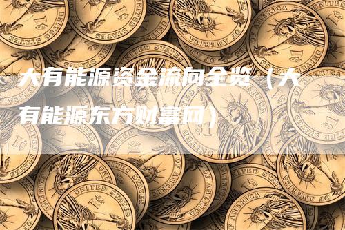 大有能源资金流向全览（大有能源东方财富网）