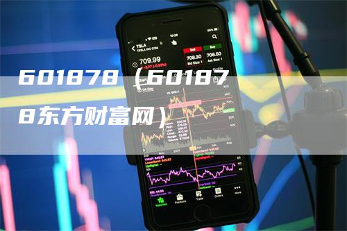 601878（601878东方财富网）